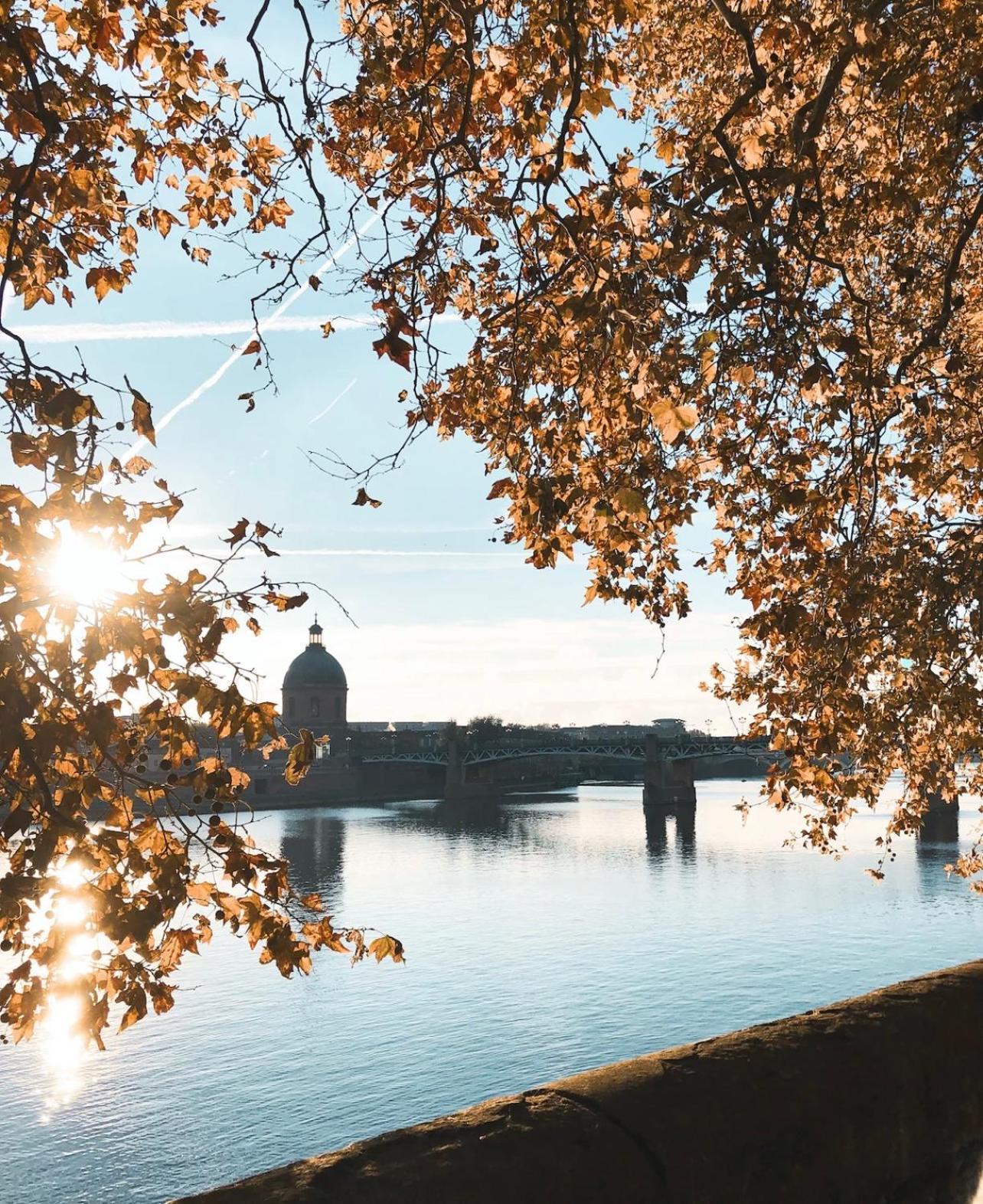 L Alsace Lorraine - A 5Min Place Du Capitole -Free Checkin -Wifi Appartement Toulouse Buitenkant foto